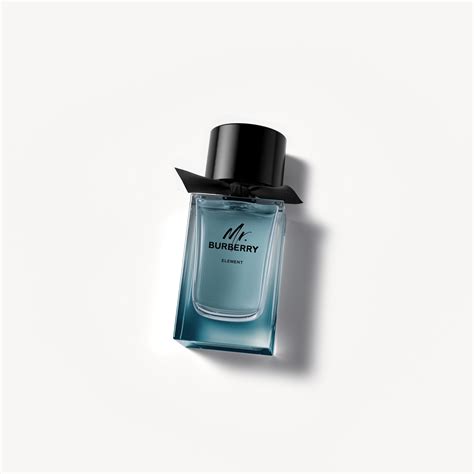 burberry element 100ml|mr Burberry eau de toilette.